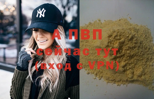 spice Арсеньев