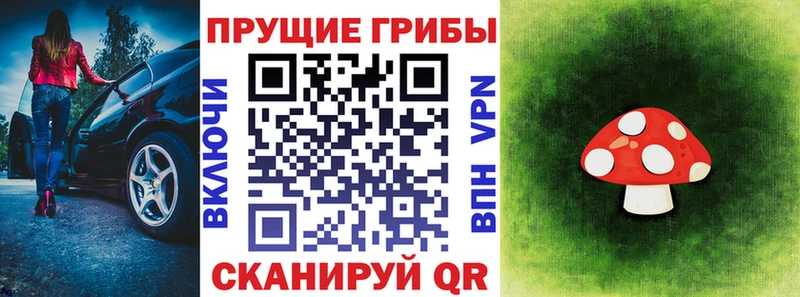 OMG как войти  Сургут  Псилоцибиновые грибы прущие грибы 