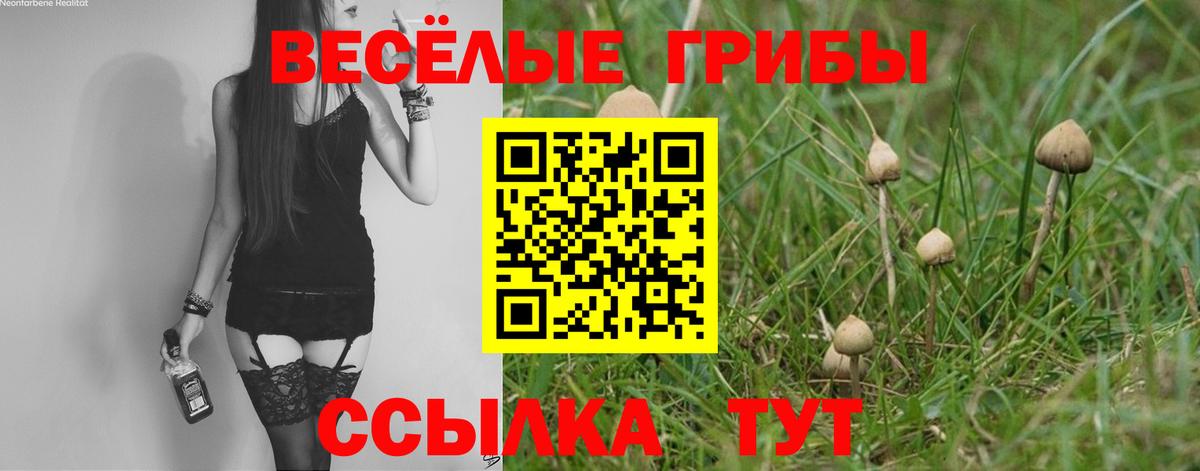 Псилоцибиновые грибы Magic Shrooms Сургут